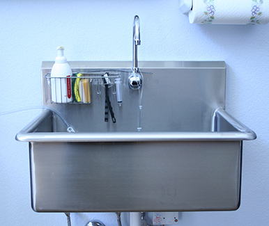 The 5 things every veterinary scrub sink must have