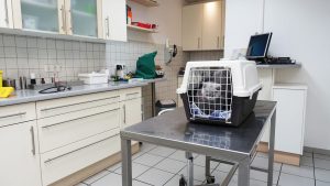 Read more about the article Mobile vs. Stationary Exam Tables: Choosing the Right Option for Your Practice