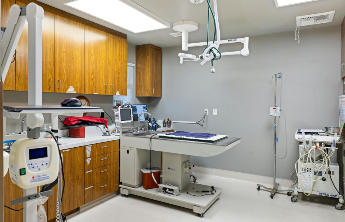 You are currently viewing Seamlessly Incorporating Heavy Equipment Into Veterinary Hospital Design Ideas